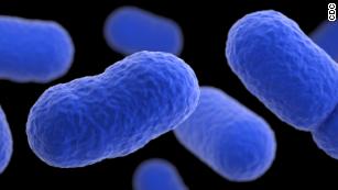 190417210656 listeria illustration medium plus 169