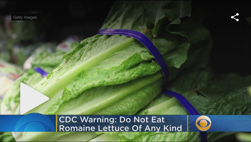 Romaine