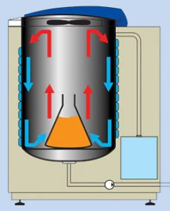 sterilization 6 242x300