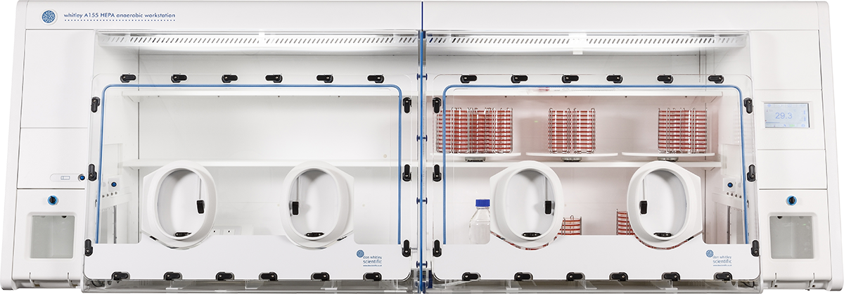 Standard Anaerobic Workstation with HEPA filtration